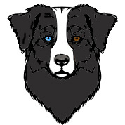 Черно-белый окрас у собак