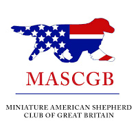 Miniature American Shepherd Club of Great Britain